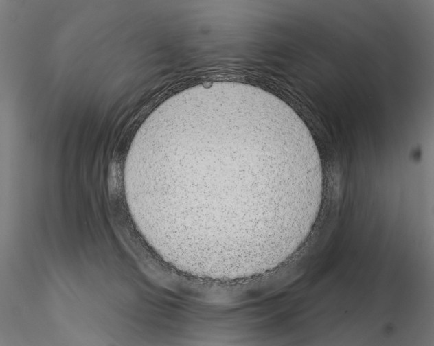 X0000115110130200912081330