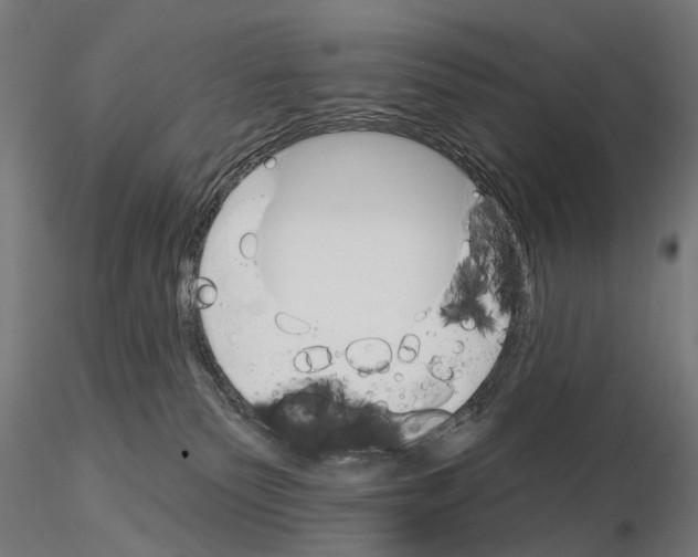 X0000115110135200912081330