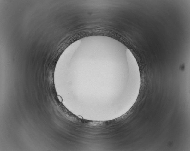 X0000115110136200912081330