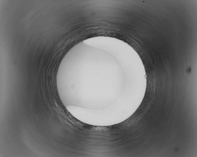 X0000115110137200912081330