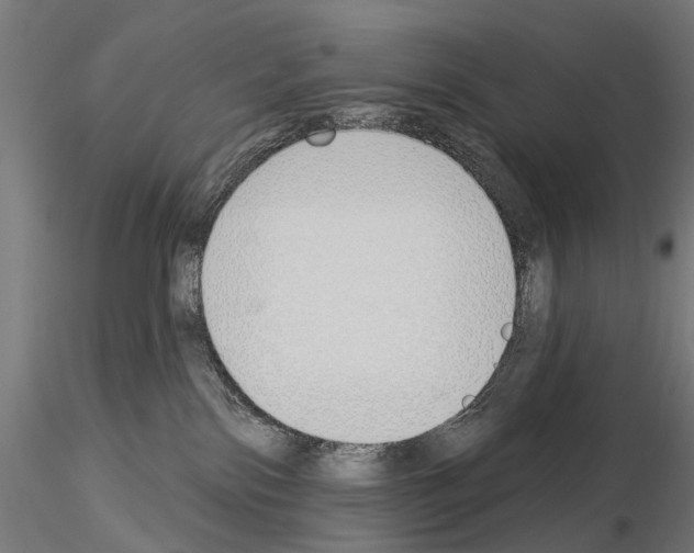 X0000115110138200912081330