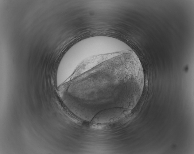 X0000115110139200912081330