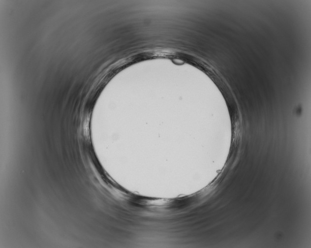 X0000115110140200912081330