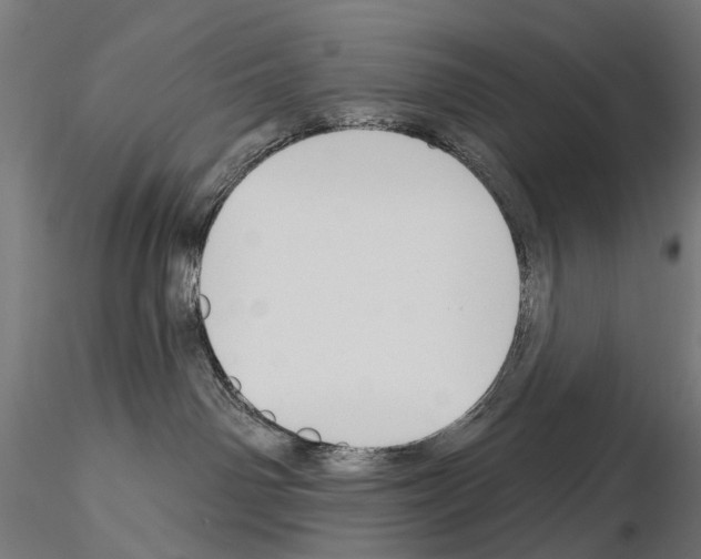 X0000115110142200912081330