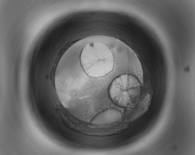 X0000115110143200912081330