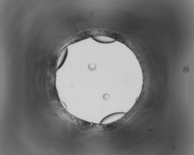 X0000115110144200912081330