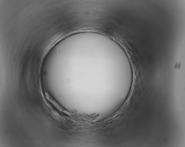 X0000115110145200912081329