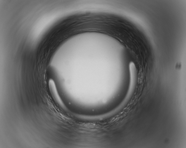 X0000115110146200912081329