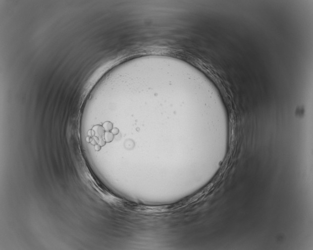 X0000115110147200912081329