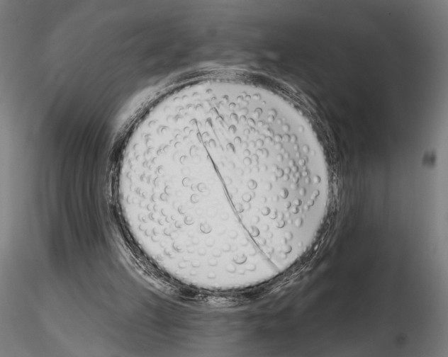 X0000115110149200912081329