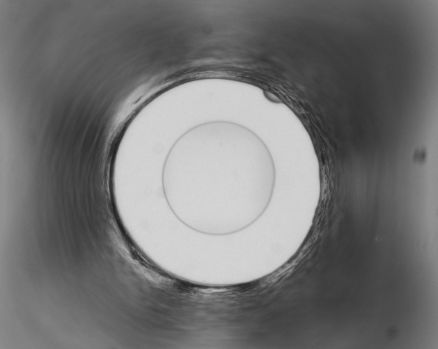 X0000115110150200912081329