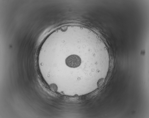 X0000115110151200912081329