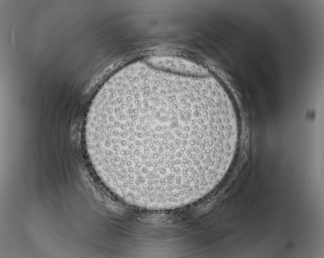 X0000115110153200912081329