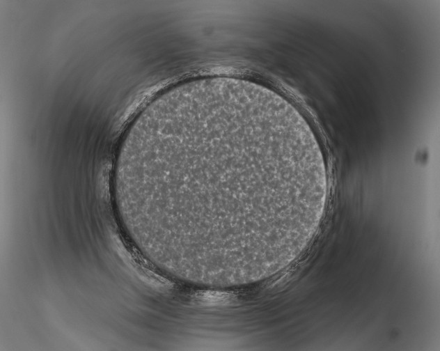 X0000115110154200912081329