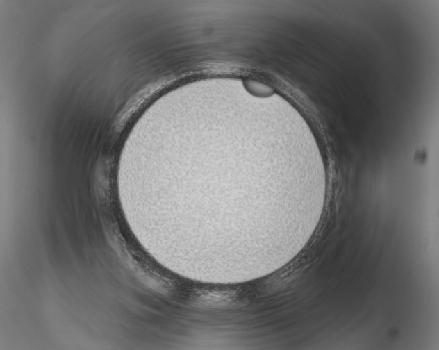 X0000115110155200912081329