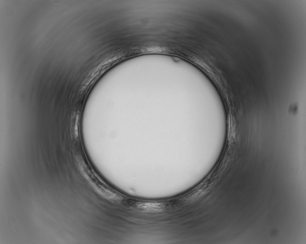 X0000115110157200912081329