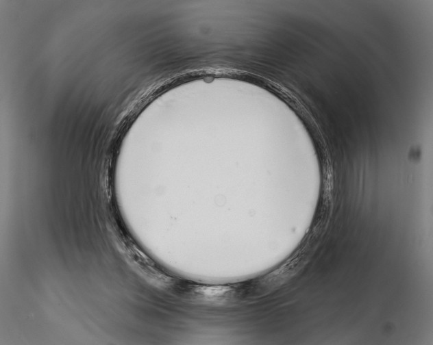 X0000115110158200912081329