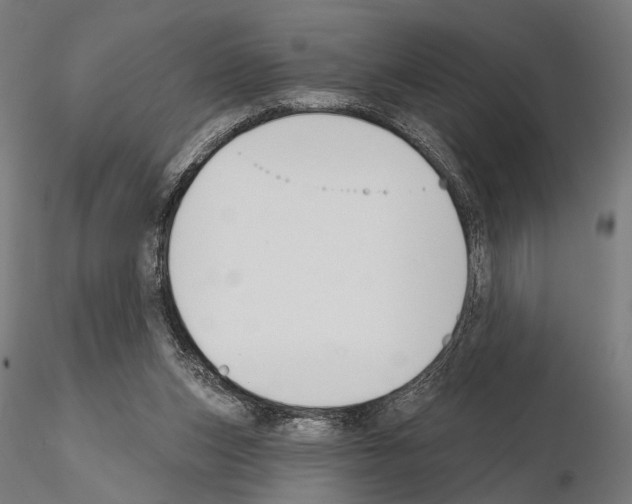 X0000115110159200912081329