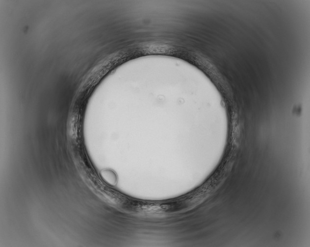 X0000115110161200912081329