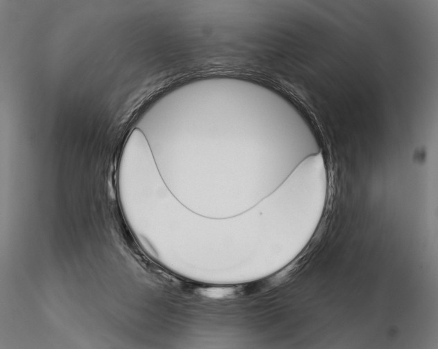 X0000115110162200912081329