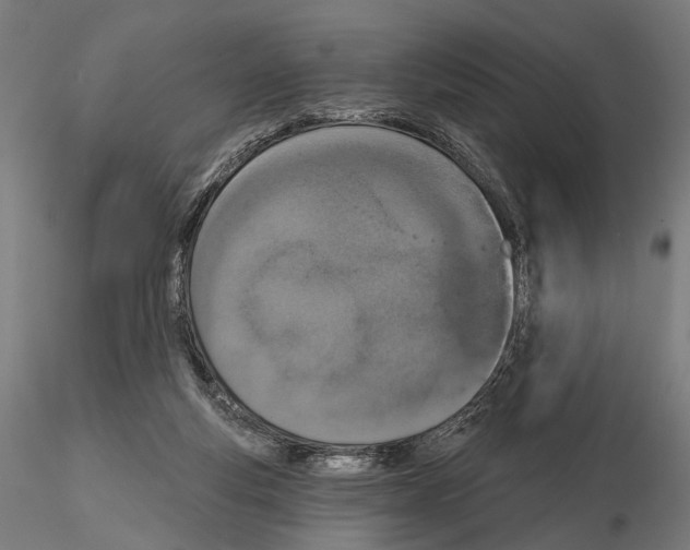 X0000115110163200912081329