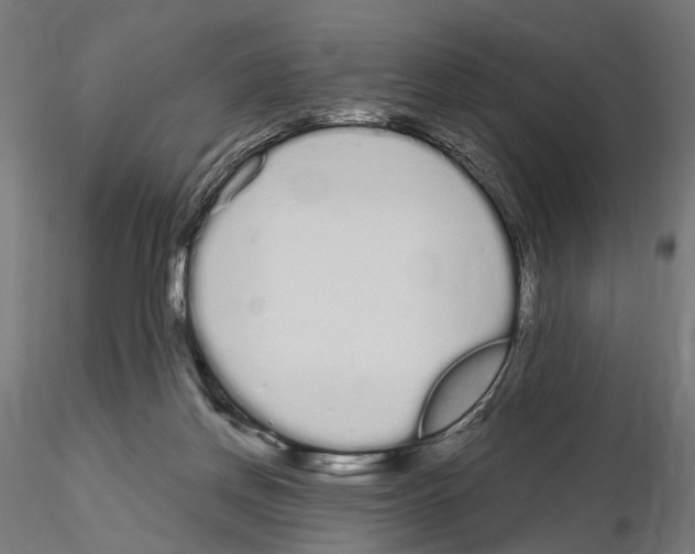 X0000115110166200912081329