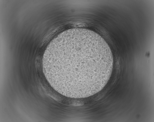 X0000115110169200912081329