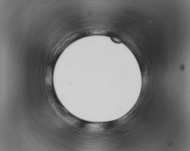 X0000115110170200912081329