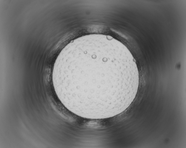 X0000115110171200912081329