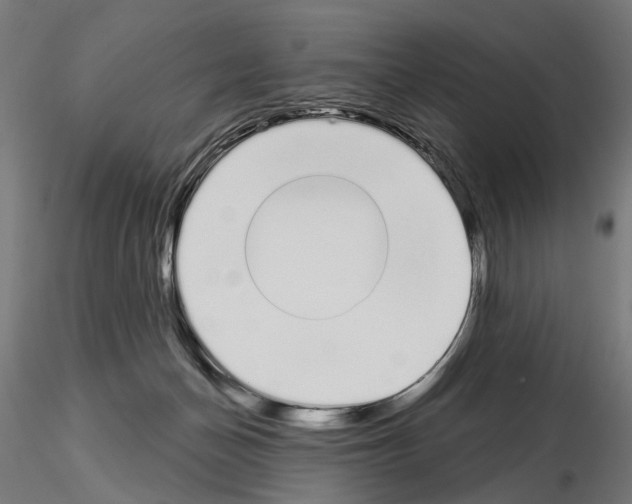 X0000115110174200912081329