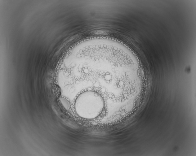 X0000115110175200912081329