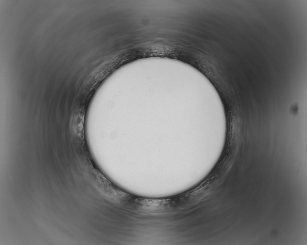 X0000115110177200912081329