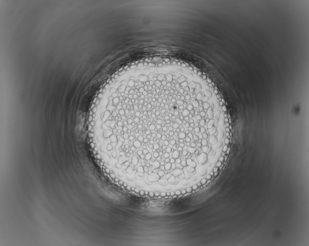 X0000115110178200912081329