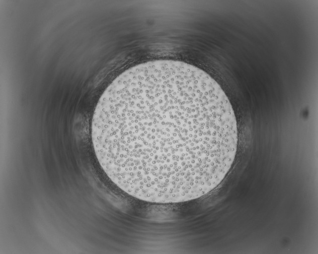 X0000115110179200912081329