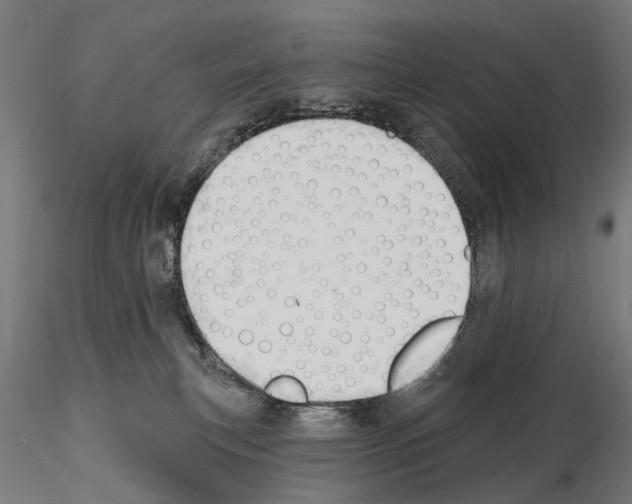 X0000115110183200912081330