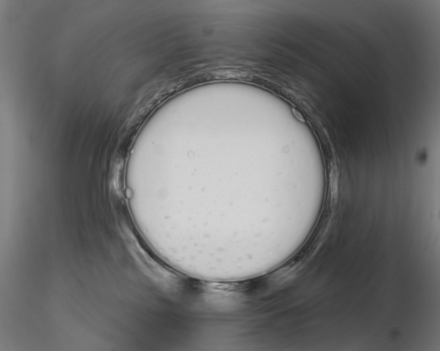 X0000115110185200912081330