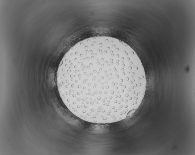 X0000115110187200912081330