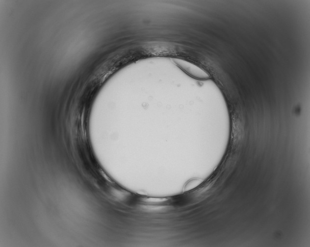 X0000115110189200912081330