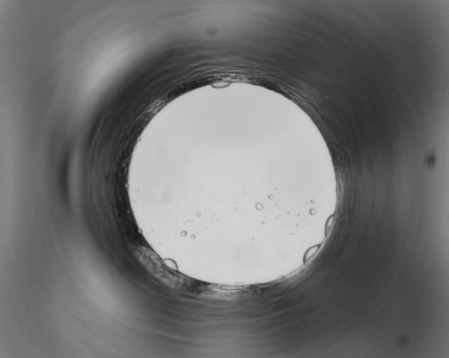 X0000115110190200912081330