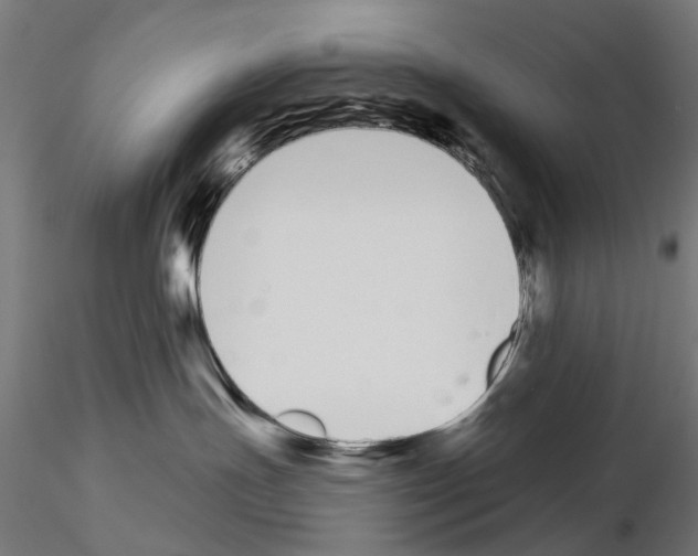 X0000115110191200912081330