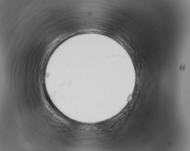 X0000115110193200912081329