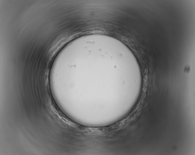 X0000115110194200912081329