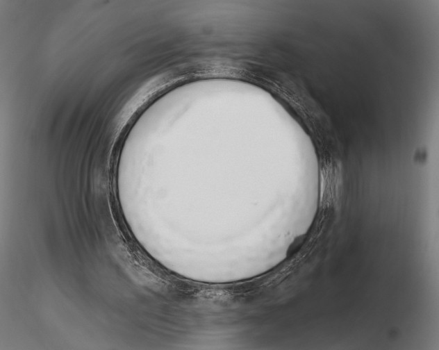 X0000115110195200912081329