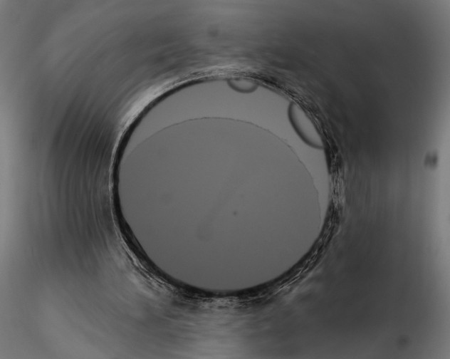 X0000115110196200912081329