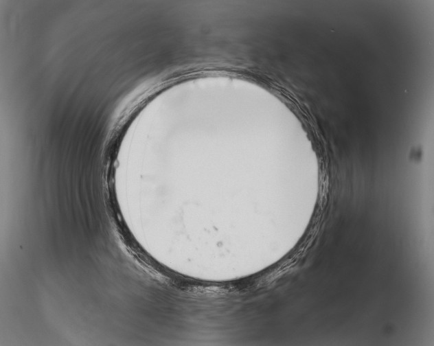 X0000115110197200912081329