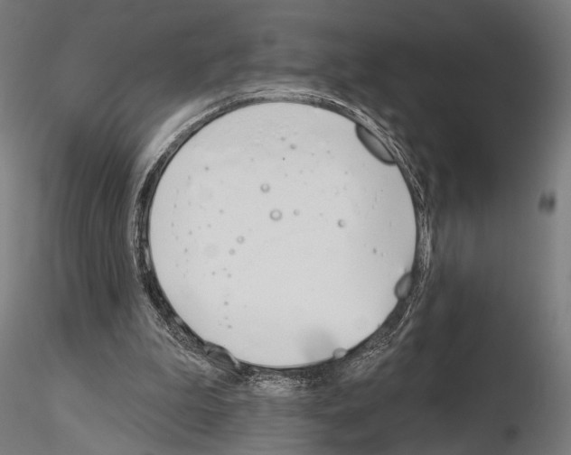 X0000115110199200912081329