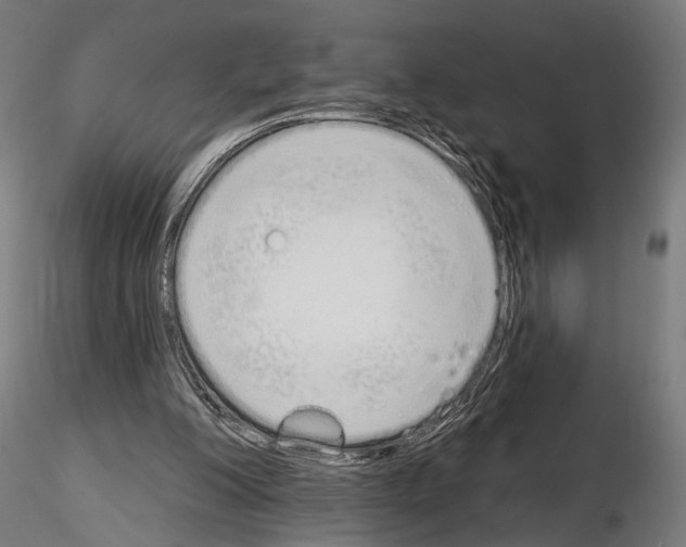 X0000115110200200912081329