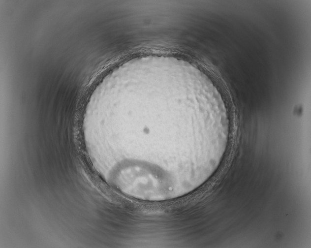 X0000115110202200912081329