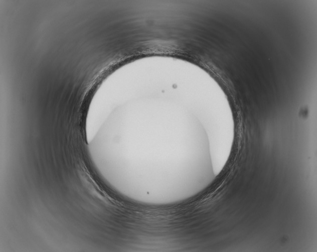 X0000115110203200912081329