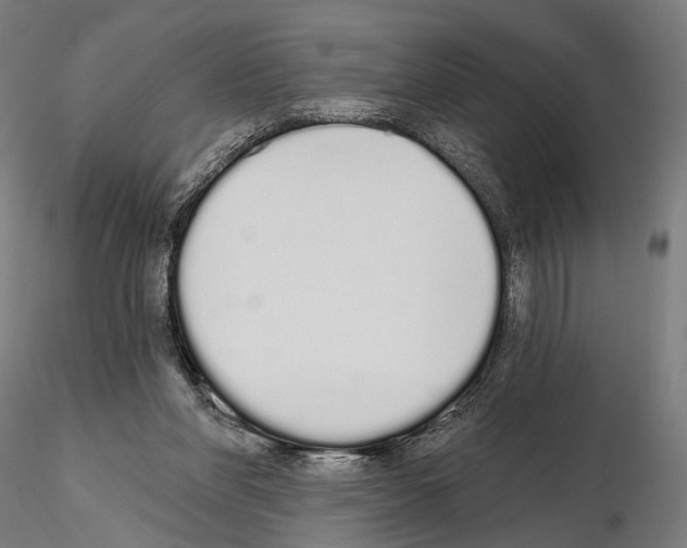 X0000115110206200912081329